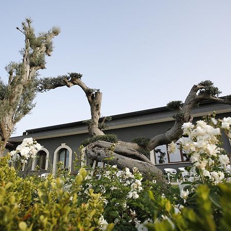 Terra Di Venera Villa Santa Venerina Ngoại thất bức ảnh